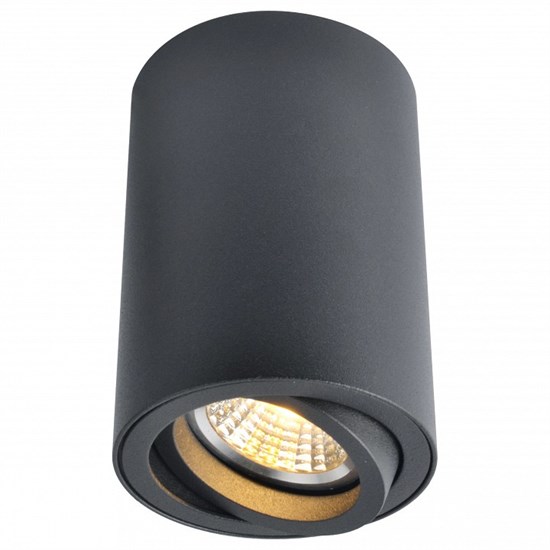 Накладной светильник Arte Lamp Sentry A1560PL-1BK AR_A1560PL-1BK - фото 11232512