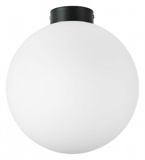 Накладной светильник Lightstar Globo 812037 LS_812037 - фото 11336843