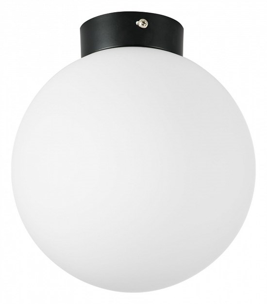 Накладной светильник Lightstar Globo 812027 LS_812027 - фото 11655107