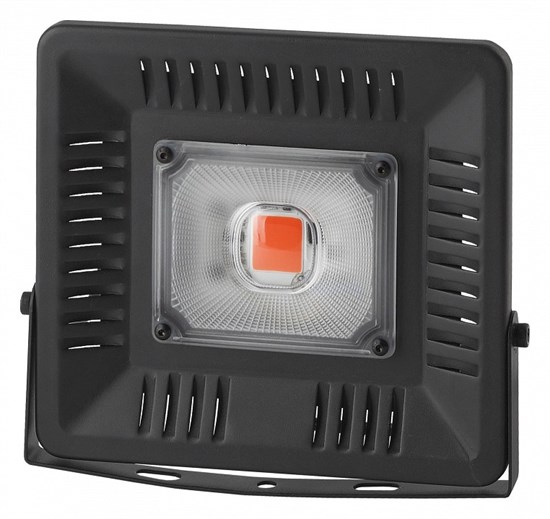 Светильник для растений Эра Фито FITO-50W-LED ER_B0039033 - фото 6825024