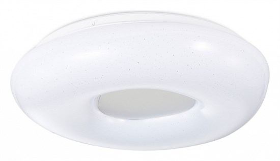 Накладной светильник SIMPLE STORY 1203 1203-LED24CL SMPS_1203-LED24CL - фото 6863475