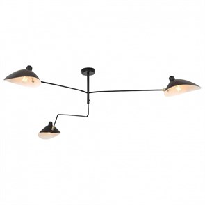 Люстра на штанге ST-Luce Spruzzo SL305.402.03 SL305.402.03