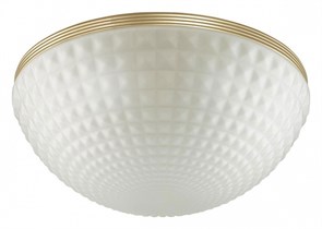 Накладной светильник Odeon Light Malaga 4936/4C OD_4936_4C