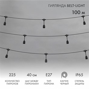 Гирлянда Супернить Belt-Light 331-231 NN_331-231