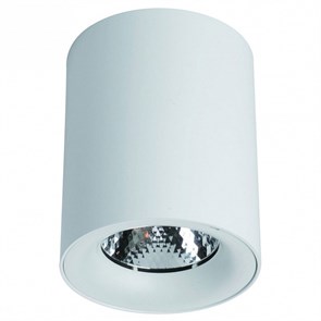 Накладной светильник Arte Lamp Facile A5112PL-1WH AR_A5112PL-1WH