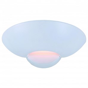 Накладной светильник Arte Lamp Interior A7118AP-1WH AR_A7118AP-1WH