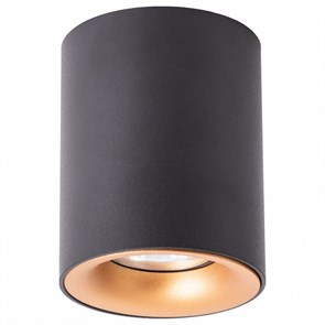 Накладной светильник Arte Lamp Torre A1532PL-1BK AR_A1532PL-1BK