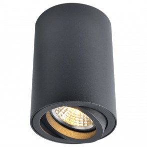 Накладной светильник Arte Lamp Sentry A1560PL-1BK AR_A1560PL-1BK