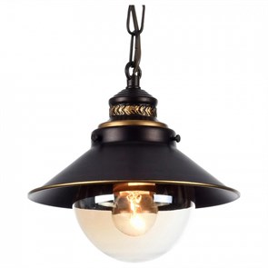 Подвесной светильник Arte Lamp Grazioso A4577SP-1CK AR_A4577SP-1CK