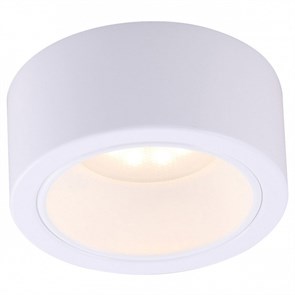 Накладной светильник Arte Lamp Effetto A5553PL-1WH AR_A5553PL-1WH