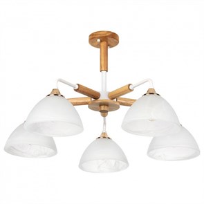 Люстра на штанге Arte Lamp Matthew A5032PL-5BR AR_A5032PL-5BR