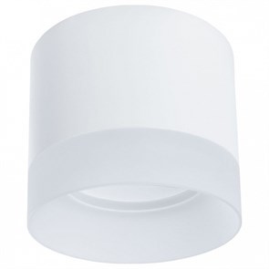 Накладной светильник Arte Lamp Castor A5554PL-1WH AR_A5554PL-1WH