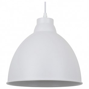 Подвесной светильник Arte Lamp Braccio A2055SP-1WH AR_A2055SP-1WH