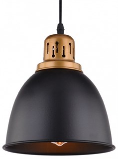 Подвесной светильник Arte Lamp Eurica A4245SP-1BK AR_A4245SP-1BK