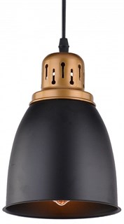 Подвесной светильник Arte Lamp Eurica A4248SP-1BK AR_A4248SP-1BK