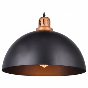 Подвесной светильник Arte Lamp Eurica A4249SP-1BK AR_A4249SP-1BK