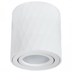 Накладной светильник Arte Lamp Fang A5559PL-1WH AR_A5559PL-1WH