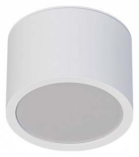 Накладной светильник Arte Lamp Intercrus A5543PL-1WH AR_A5543PL-1WH