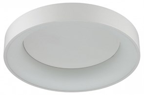 Накладной светильник Odeon Light Sole 4062/50CL OD_4062_50CL