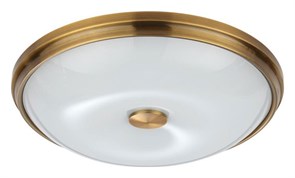 Накладной светильник Odeon Light Pelow 4956/4 OD_4956_4