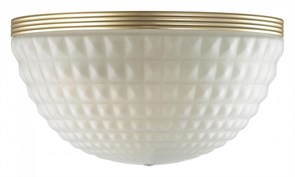 Накладной светильник Odeon Light Malaga 4936/1W OD_4936_1W