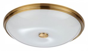 Накладной светильник Odeon Light Pelow 4956/5 OD_4956_5