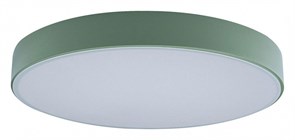 Накладной светильник Loft it Axel 1 10002/24 Green LF_10002_24_Green