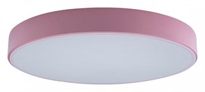 Накладной светильник Loft it Axel 1 10002/24 Pink LF_10002_24_Pink