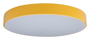 Накладной светильник Loft it Axel 1 10002/24 Yellow LF_10002_24_Yellow