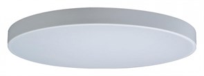 Накладной светильник Loft it Axel 1 10002/48 White LF_10002_48_White