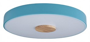 Накладной светильник Loft it Axel 2 10003/24 Blue LF_10003_24_Blue