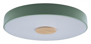 Накладной светильник Loft it Axel 2 10003/24 Green LF_10003_24_Green