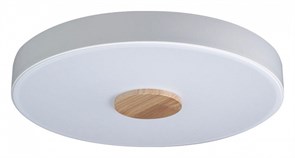 Накладной светильник Loft it Axel 2 10003/24 White LF_10003_24_White