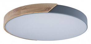 Накладной светильник Loft it Axel 3 10004/36 Grey LF_10004_36_Grey