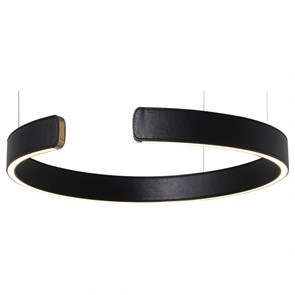 Подвесной светильник Loft it Ring 10025/400 Black LF_10025_400_Black