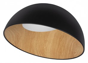 Накладной светильник Loft it Egg 10197/500 Black LF_10197_500_Black