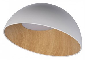 Накладной светильник Loft it Egg 10197/500 White LF_10197_500_White