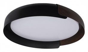 Накладной светильник Loft it Coin 10198 Black LF_10198_Black