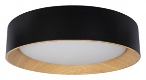 Накладной светильник Loft it Coin 10202 Black LF_10202_Black