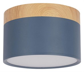 Накладной светильник Loft it Grape 10162 Blue LF_10162_Blue