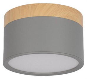 Накладной светильник Loft it Grape 10162 Grey LF_10162_Grey