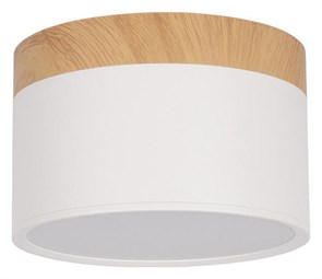 Накладной светильник Loft it Grape 10162 White LF_10162_White