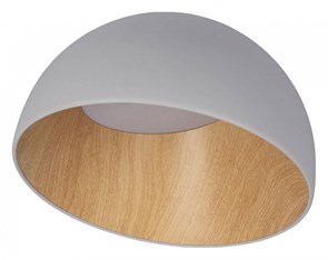 Накладной светильник Loft it Egg 10197/350 Grey LF_10197_350_Grey