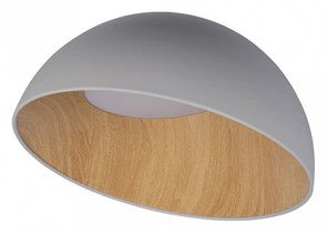 Накладной светильник Loft it Egg 10197/500 Grey LF_10197_500_Grey