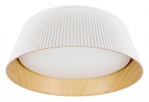 Накладной светильник Loft it Evans 10224 White LF_10224_White