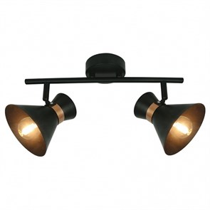 Спот Arte Lamp Baltimore A1406AP-2BK AR_A1406AP-2BK