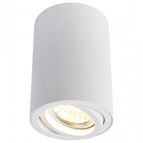 Накладной светильник Arte Lamp Sentry A1560PL-1WH AR_A1560PL-1WH