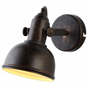 Спот Arte Lamp Martin A5213AP-1BR AR_A5213AP-1BR