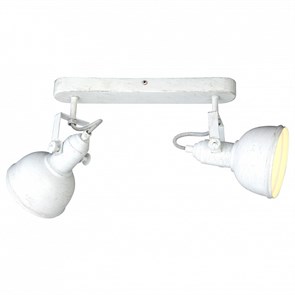 Спот Arte Lamp Martin A5213AP-2WG AR_A5213AP-2WG