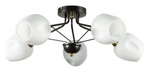 Потолочная люстра Arte Lamp Brighton A2706PL-5CK AR_A2706PL-5CK